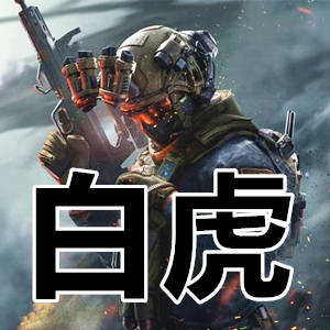 三角洲行动白虎-内部驱动无痕加载